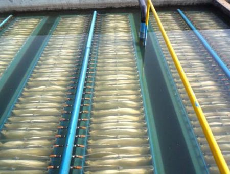 點擊查看詳細信息<br>標題：MBR膜生物反應器 閱讀次數：2585