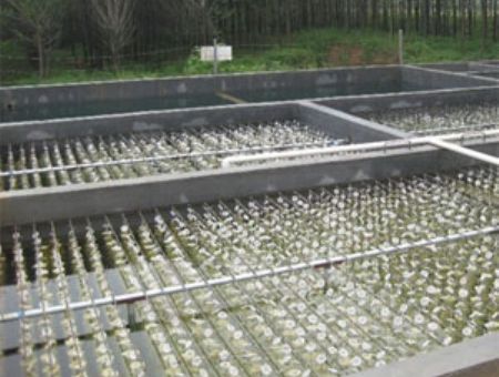 點擊查看詳細信息<br>標題：養殖污水處理 閱讀次數：4990